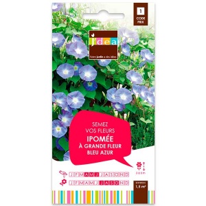 grainesfleurs/3052350756462-IPOMEE-A-GRANDE-FLEUR-BLEU-AZUR-S1-JDEA