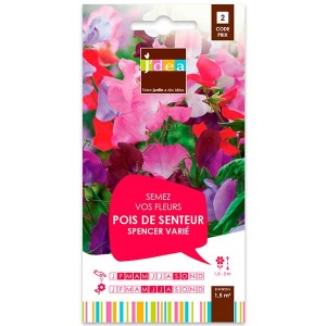 grainesfleurs/3052350756622-POIS-DE-SENTEUR-SPENCER-VARIE-S2-JDEA