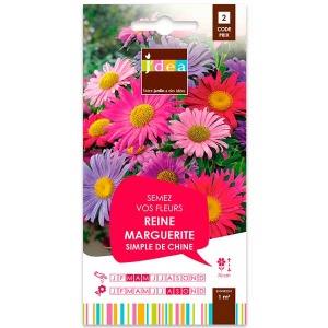 grainesfleurs/3052350756639-REINE-MARGUERITE-SIMPLE-DE-CHINE-S2-JDEA